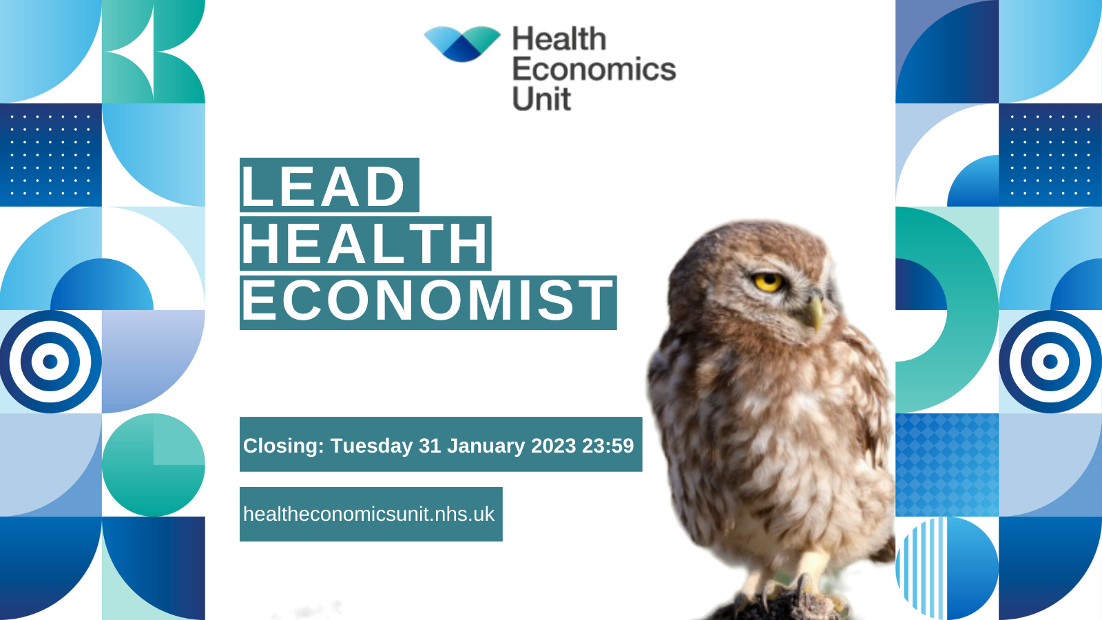 Lead Health Economist